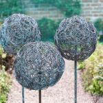 Copper Alliums