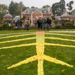 Cart Shed logo on land art. Photography by Andrew Legge