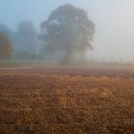 Land art by Julian Meredith. Photography by Andrew Legge