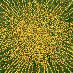 Out of Nature: Kate Raggett land art